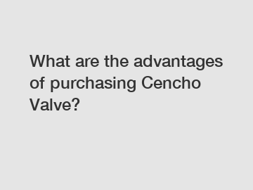 What are the advantages of purchasing Cencho Valve?