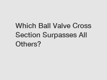 Which Ball Valve Cross Section Surpasses All Others?