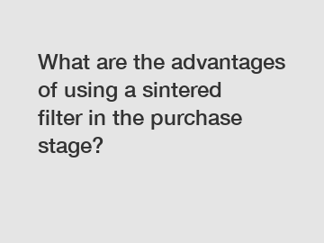 What are the advantages of using a sintered filter in the purchase stage?