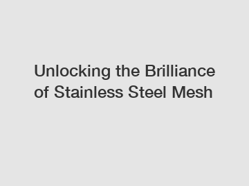 Unlocking the Brilliance of Stainless Steel Mesh